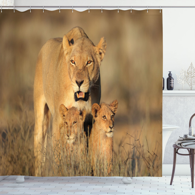 Safari Lions Wilderness Shower Curtain
