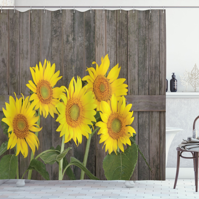 Helianthus Sunflowers Shower Curtain