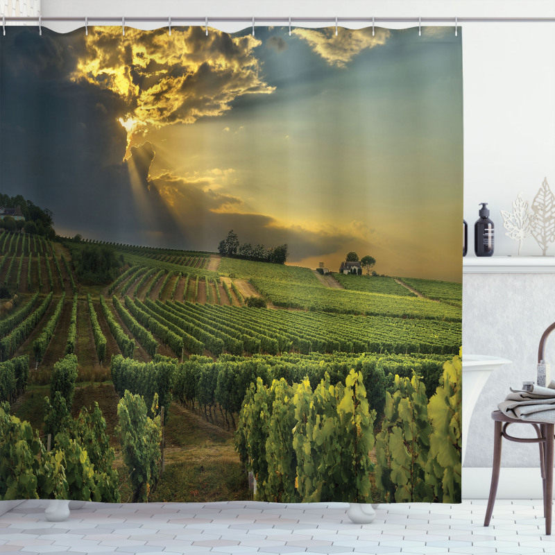 France Sunset Vineyard Shower Curtain