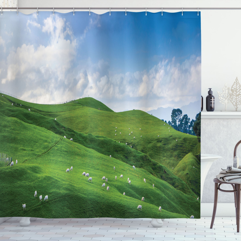 Sheep and Blue Sky Shower Curtain