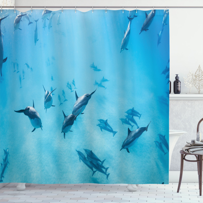 Dolphins Hawaii Ocean Shower Curtain