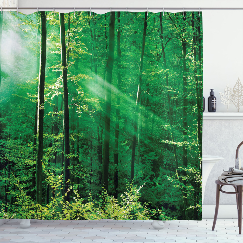 Forest Trees Morning Shower Curtain