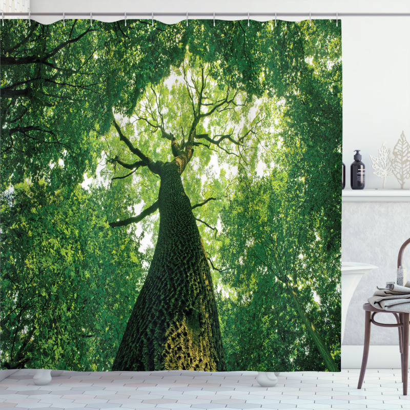 Leaves Tree Branches Shower Curtain