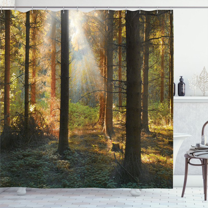 Sunset Dark Pine Trees Shower Curtain