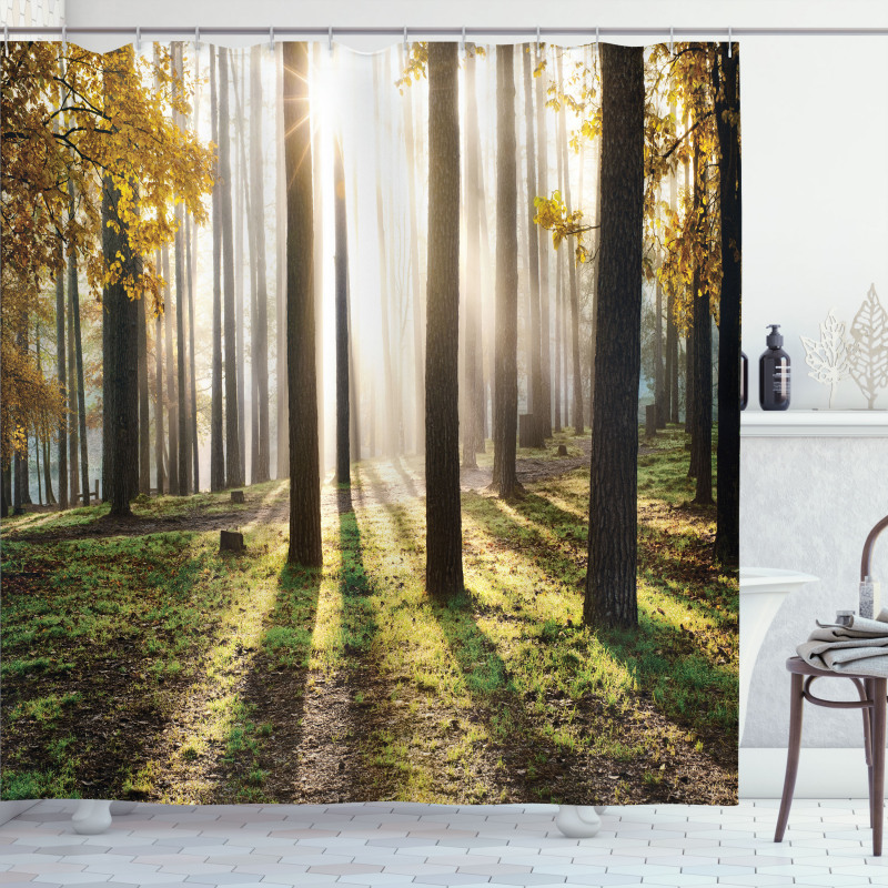 Forest Leaves at Sunrise Shower Curtain