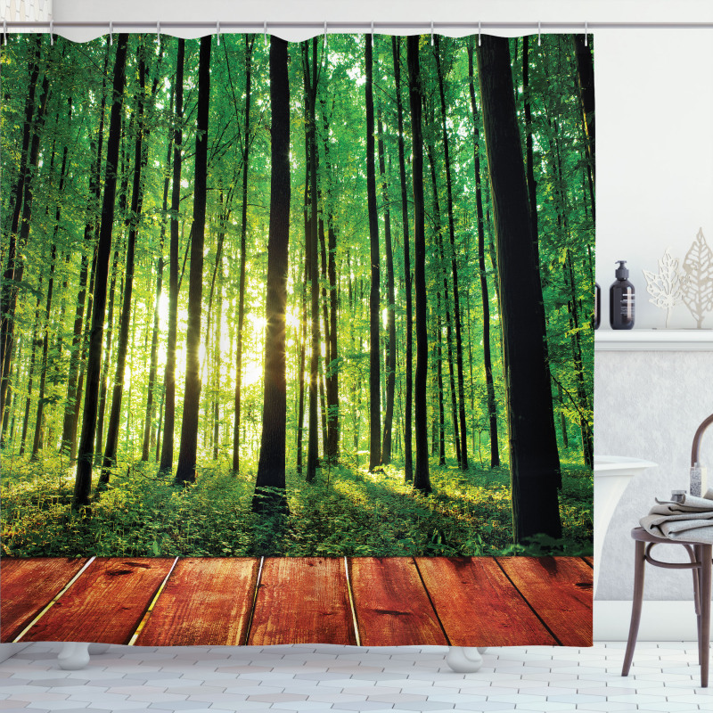 Sunlight Forest Trees Shower Curtain