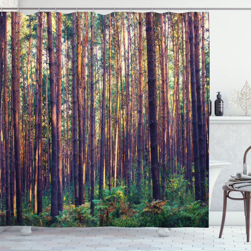 Fall Trees Forest Trunks Shower Curtain