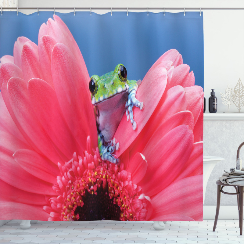 Frog on Gabera Flower Shower Curtain