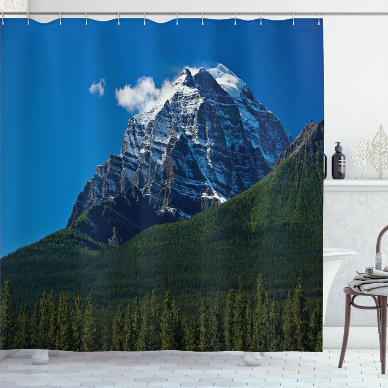 Snowy Peaks Trees Park Shower Curtain