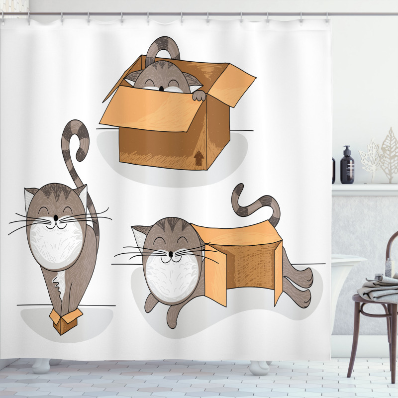 Kitten Cat in the Box Shower Curtain