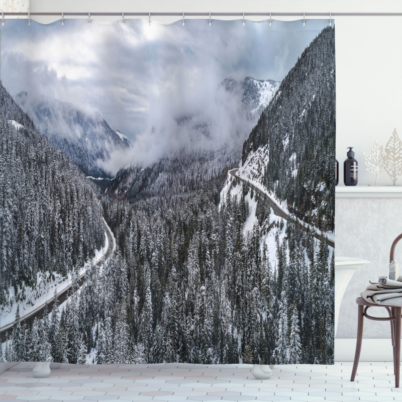 Highway in Winter Forest Shower Curtain