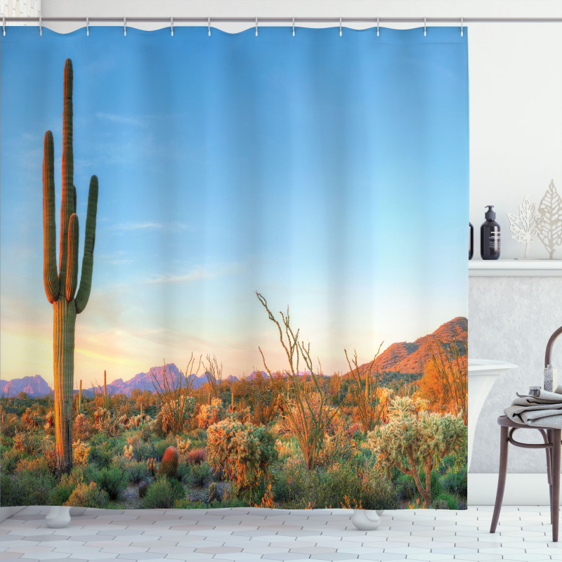 Sun in Desert Cactus Shower Curtain