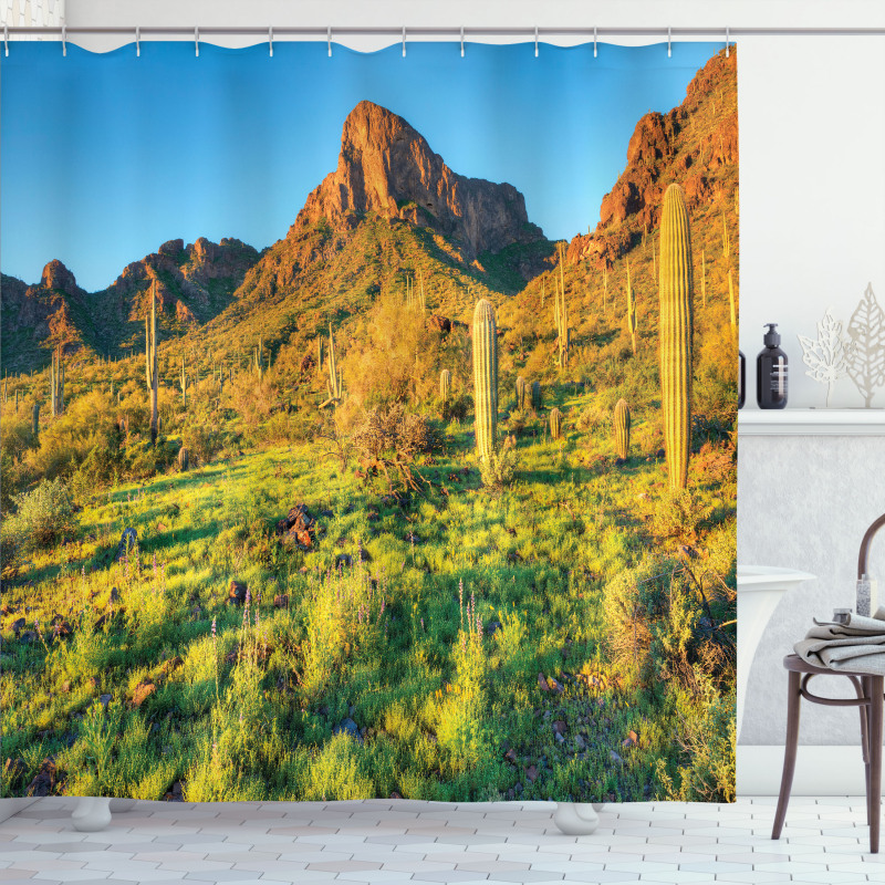 Picacho Peak and Sun Shower Curtain
