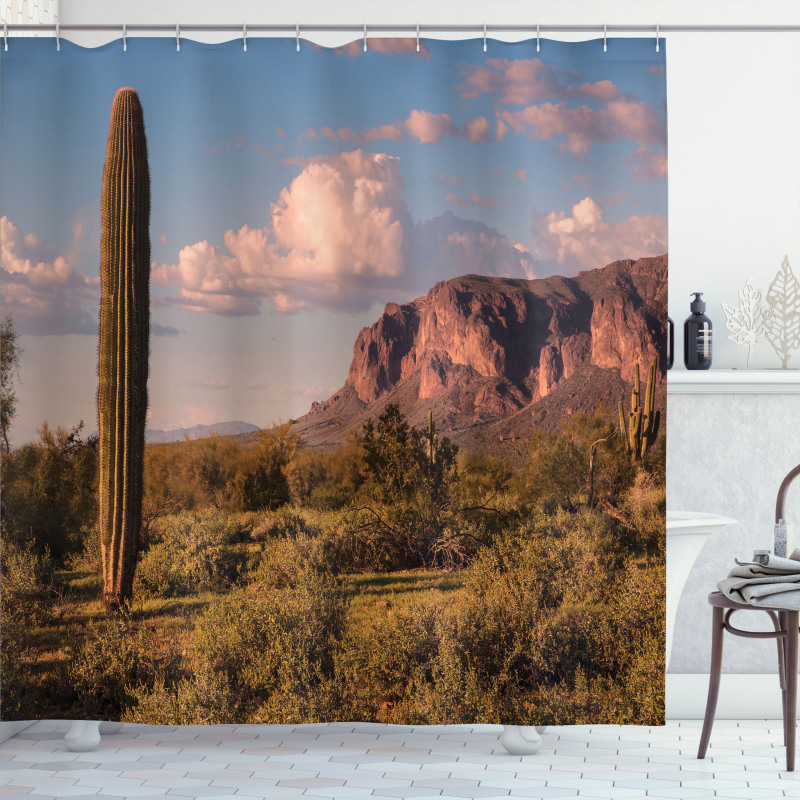 Mountain State Park Shower Curtain