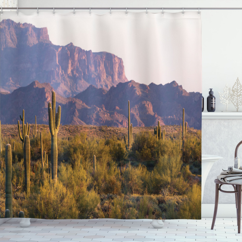 Cactus Mountain in Spring Shower Curtain