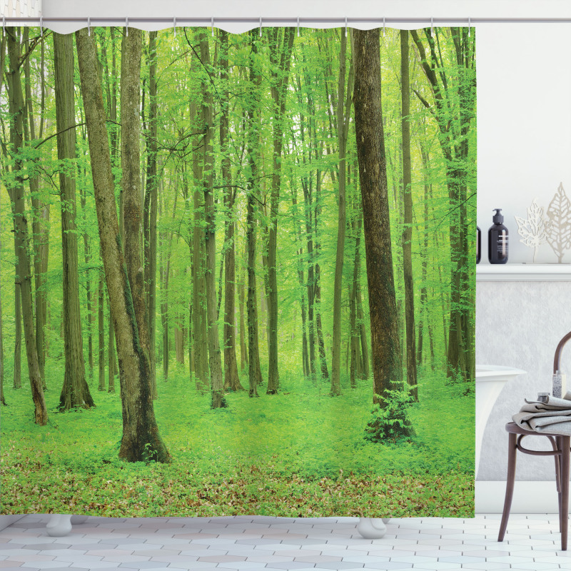 Forest in a Sunny Day Shower Curtain