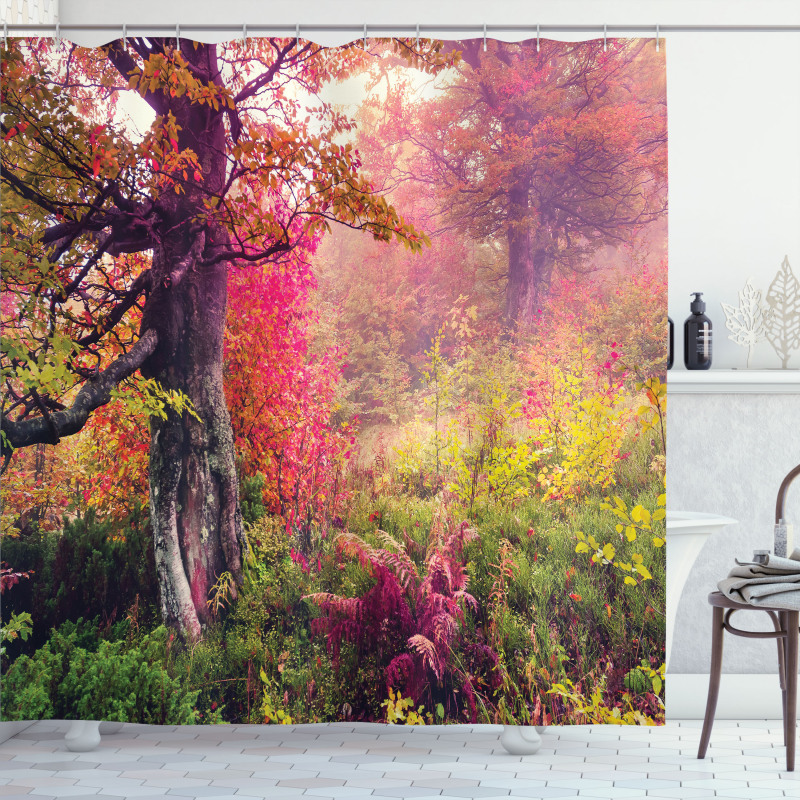 Majestic Autumn Trees Shower Curtain