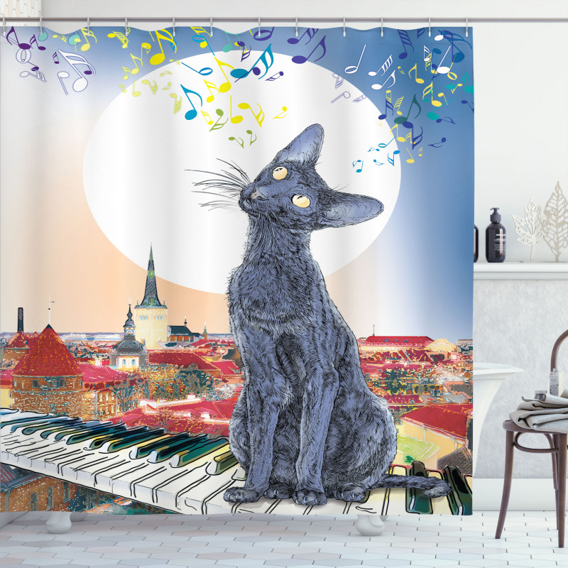 Cat on Rooftop Sunset Music Shower Curtain