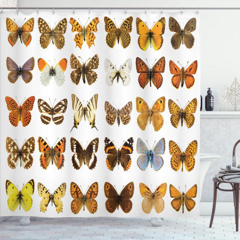 Butterfly Miracle Wing Shower Curtain
