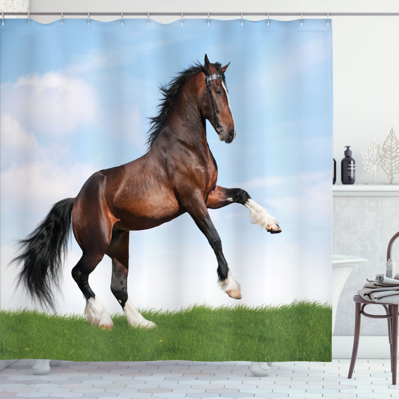 Horse Pacing on Grass Shower Curtain