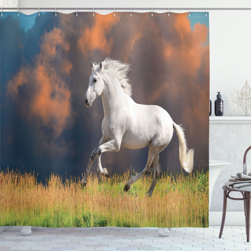 Andalusian Horse Dusk Shower Curtain