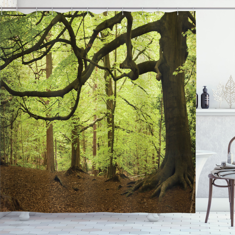 Woodland Natural Beauty Shower Curtain