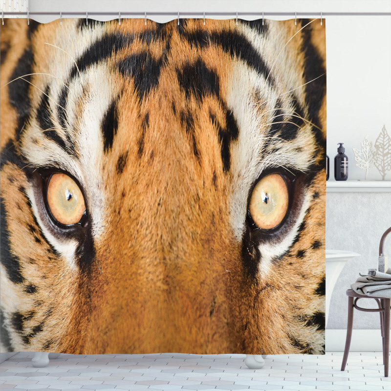 Tiger Eyes Wild Shower Curtain