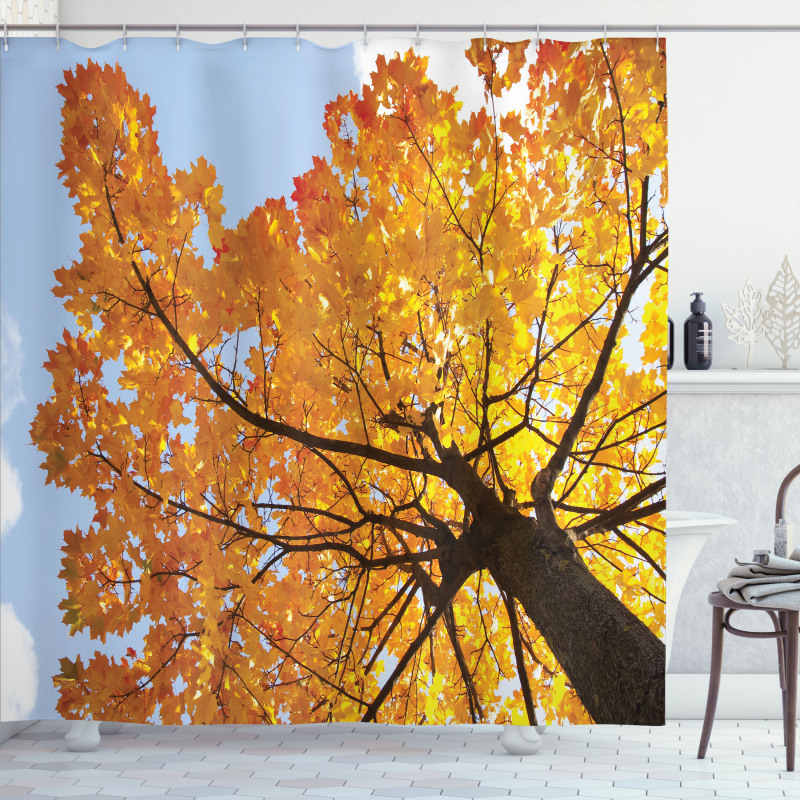 Maple Leaves Fall Autumn Shower Curtain