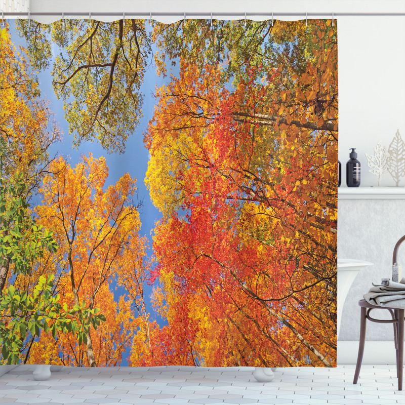 Forest in Autumn Shower Curtain