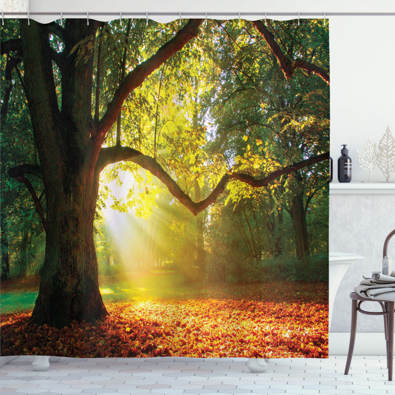 Oak Autumn Leaves Hazy Shower Curtain