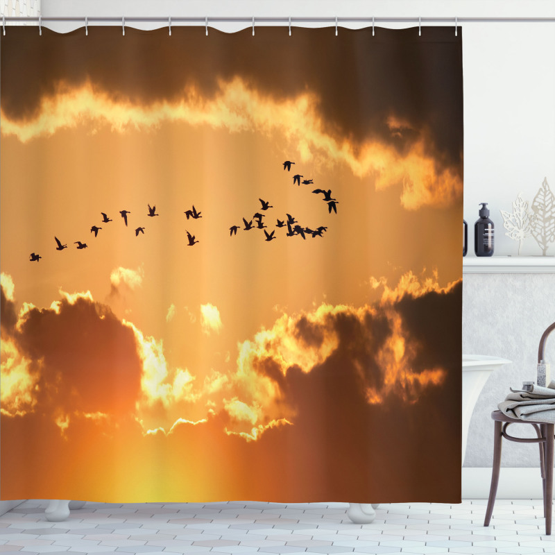 Flyingt Sunset Freedom Shower Curtain