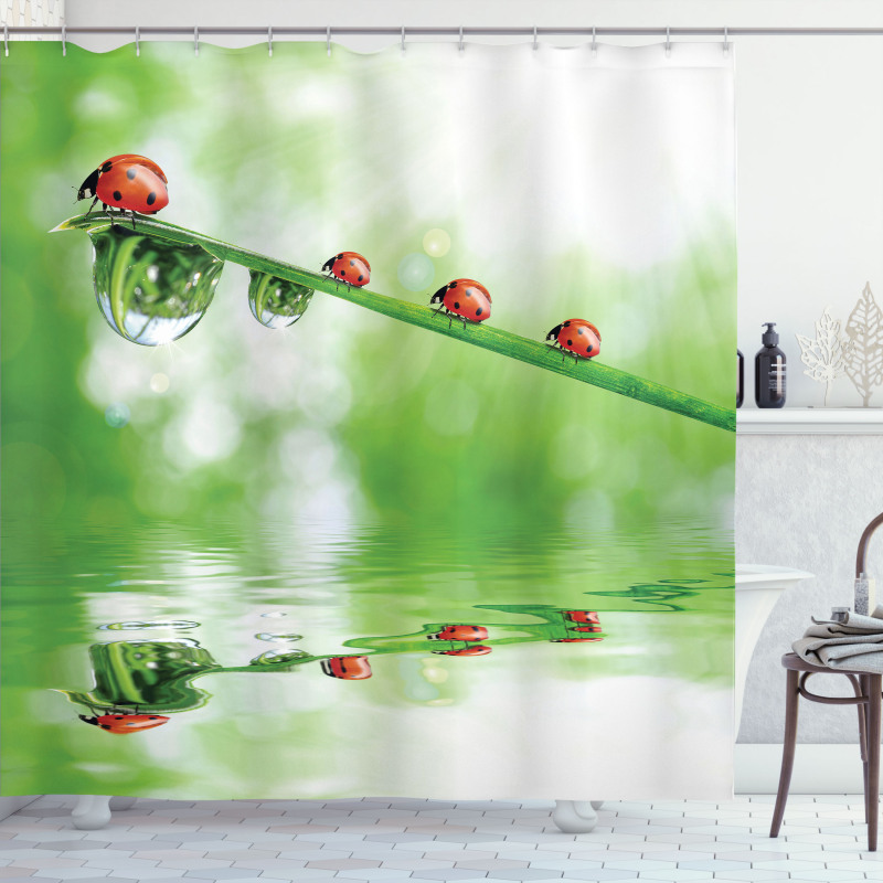 Ladybug on Water Image Shower Curtain