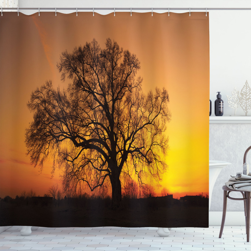 Old Oak at Sunset View Shower Curtain