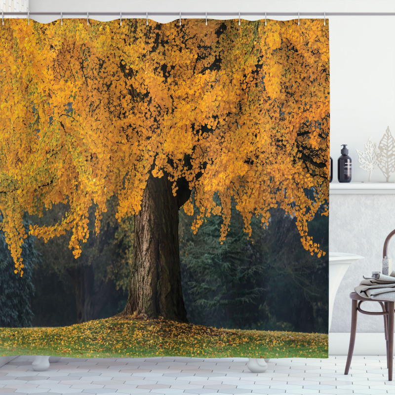 Leaves Tree Autumn Season Shower Curtain