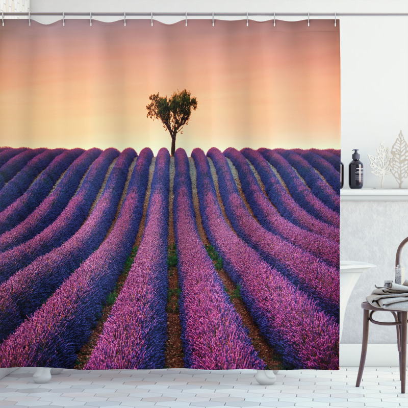 Lavender Flowers Field Shower Curtain