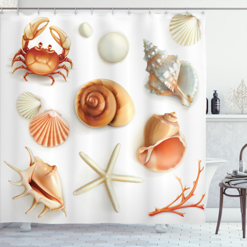 Seashells Marine Aquatic Shower Curtain
