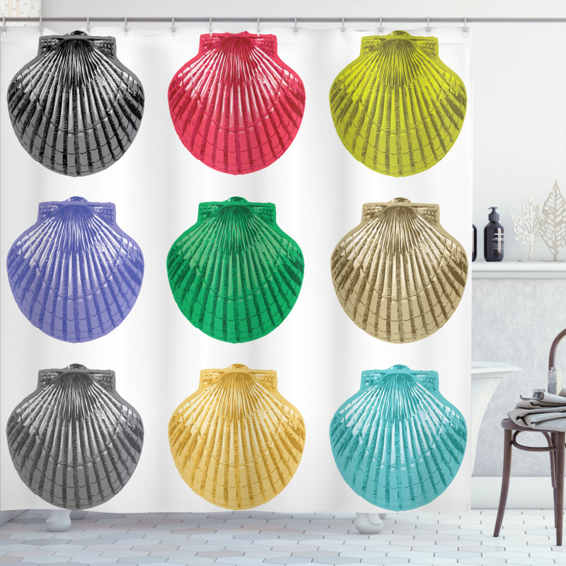 Seashells Composition Shower Curtain