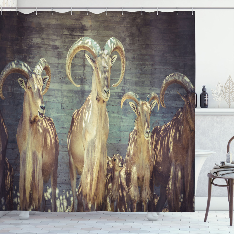 Capricorn Antlers Shower Curtain