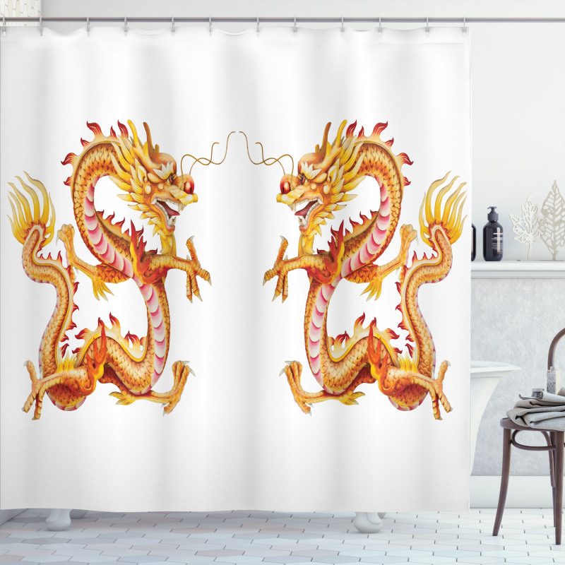 Chinese Philosophy Shower Curtain
