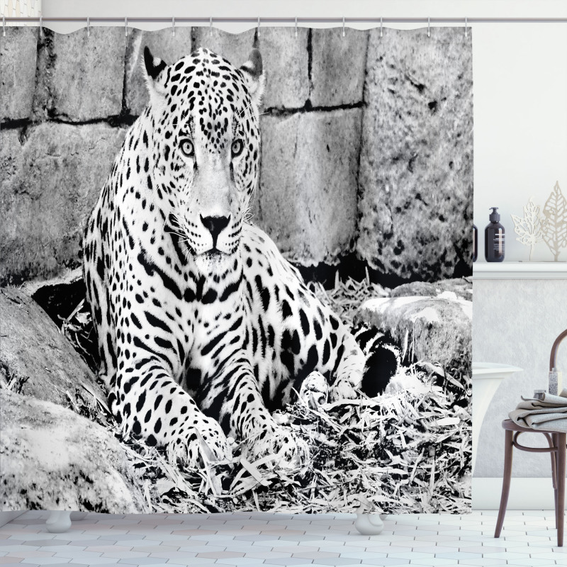 Wild Tiger Jaguar Shower Curtain