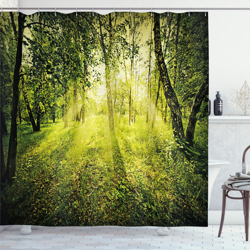 Scenic Morning in Nature Shower Curtain