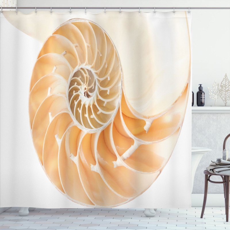 Curves Helix Design Shower Curtain