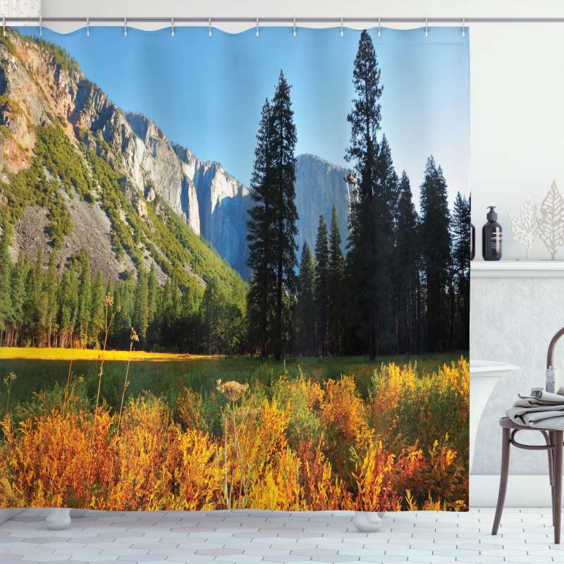 Birds over Mountains Shower Curtain