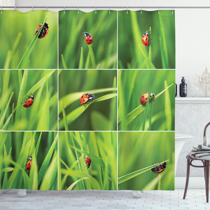 Ladybug over Fresh Grass Shower Curtain