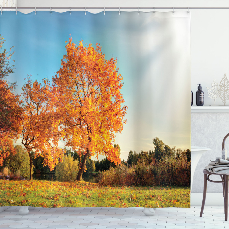 Maple Tree in Autumn Shower Curtain