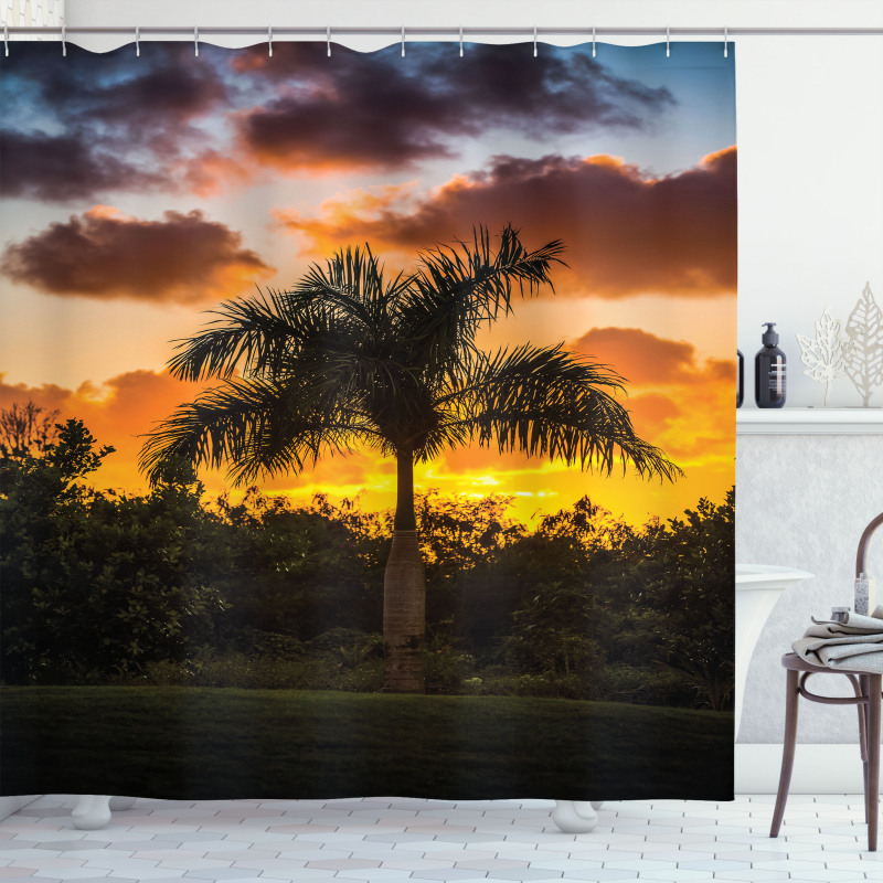 Exotic Tree at Sunset Shower Curtain