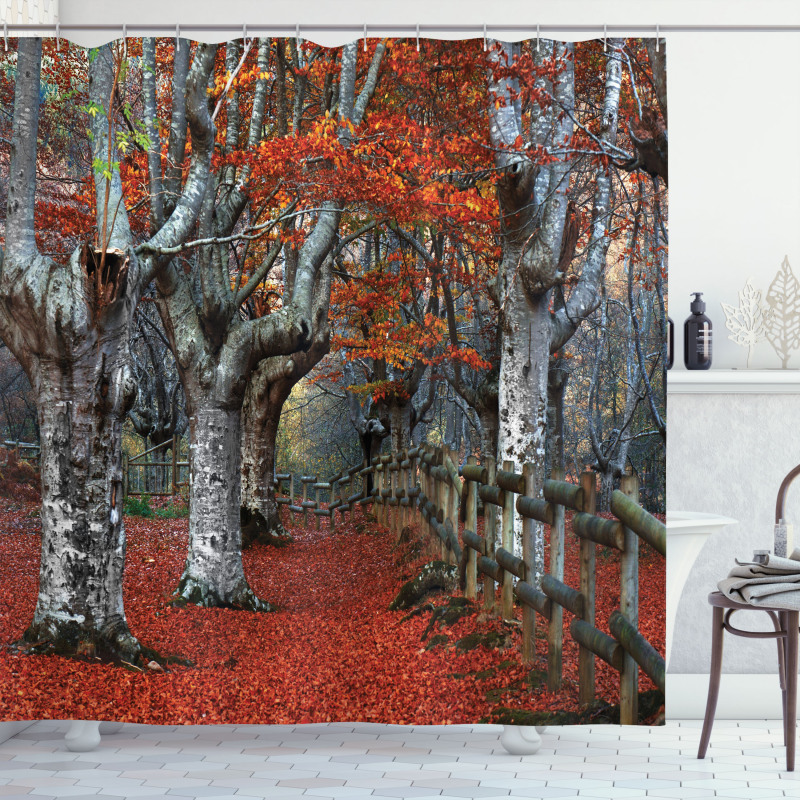 Beech Forest Autumn Shower Curtain