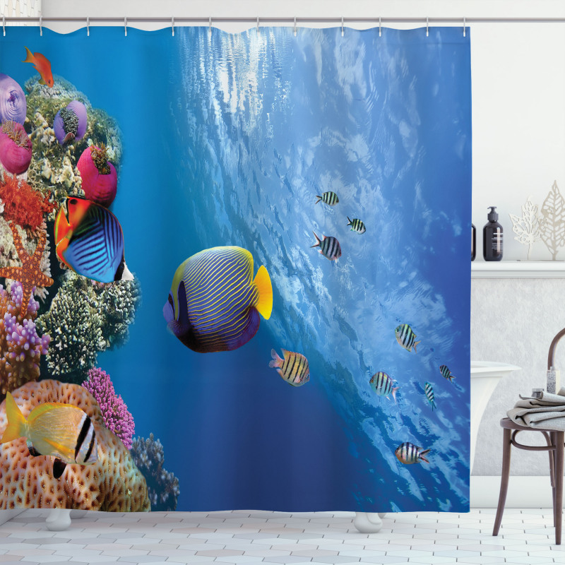 Underwater Fish Sea Shower Curtain