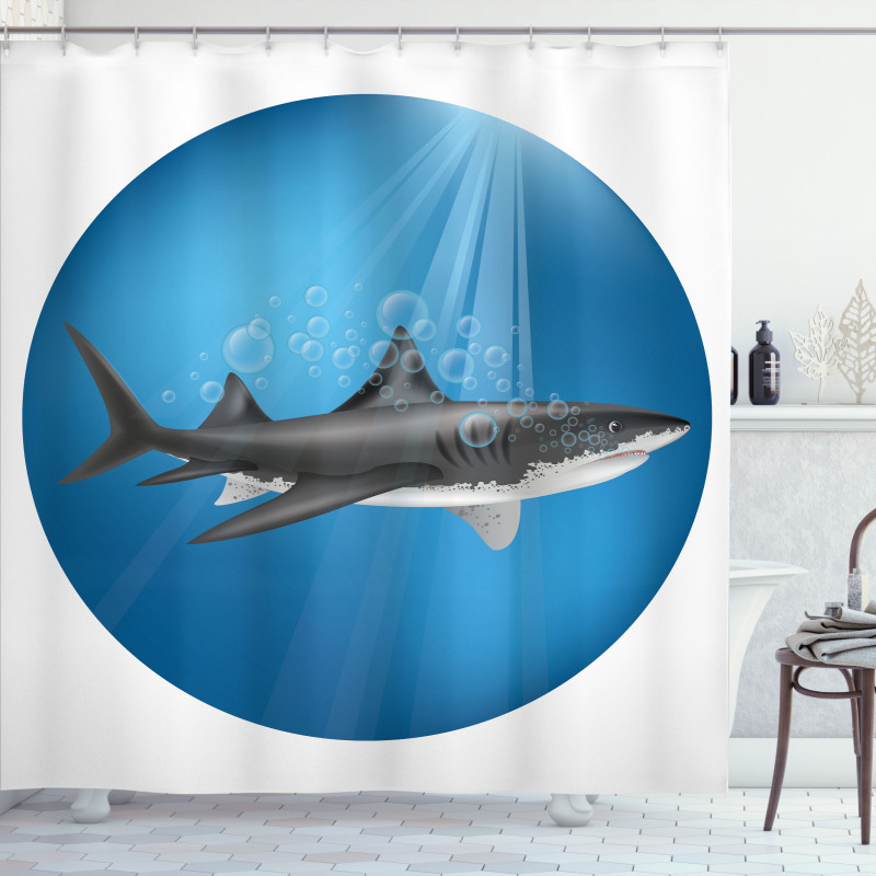 Shark Underwater Hunter Shower Curtain