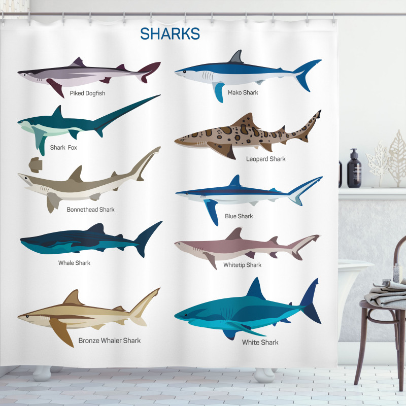 Cartoon Shark Types Wild Shower Curtain